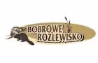 Bobrowe Rozlewisko